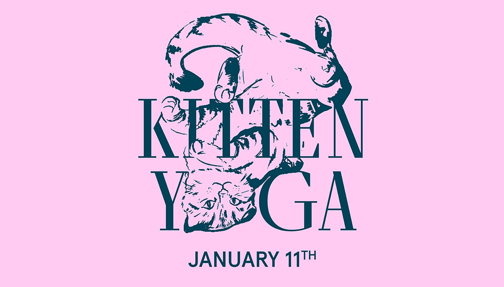 Kitten Yoga Web Tile